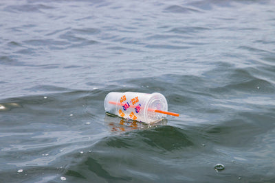 Single-use plastic and the never ending campaign against it.
