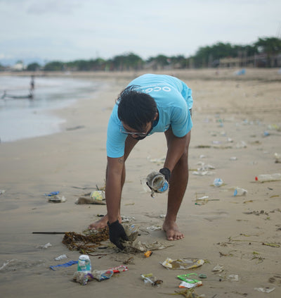 Addressing Plastic Pollution: The Role of Governance and Personal Actions