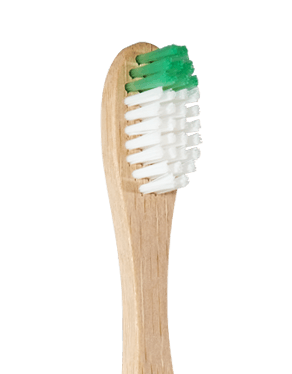 Bamboo Toothbrush - Bristle