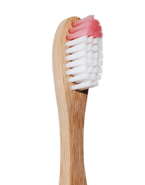 Bamboo Toothbrush - Bristle